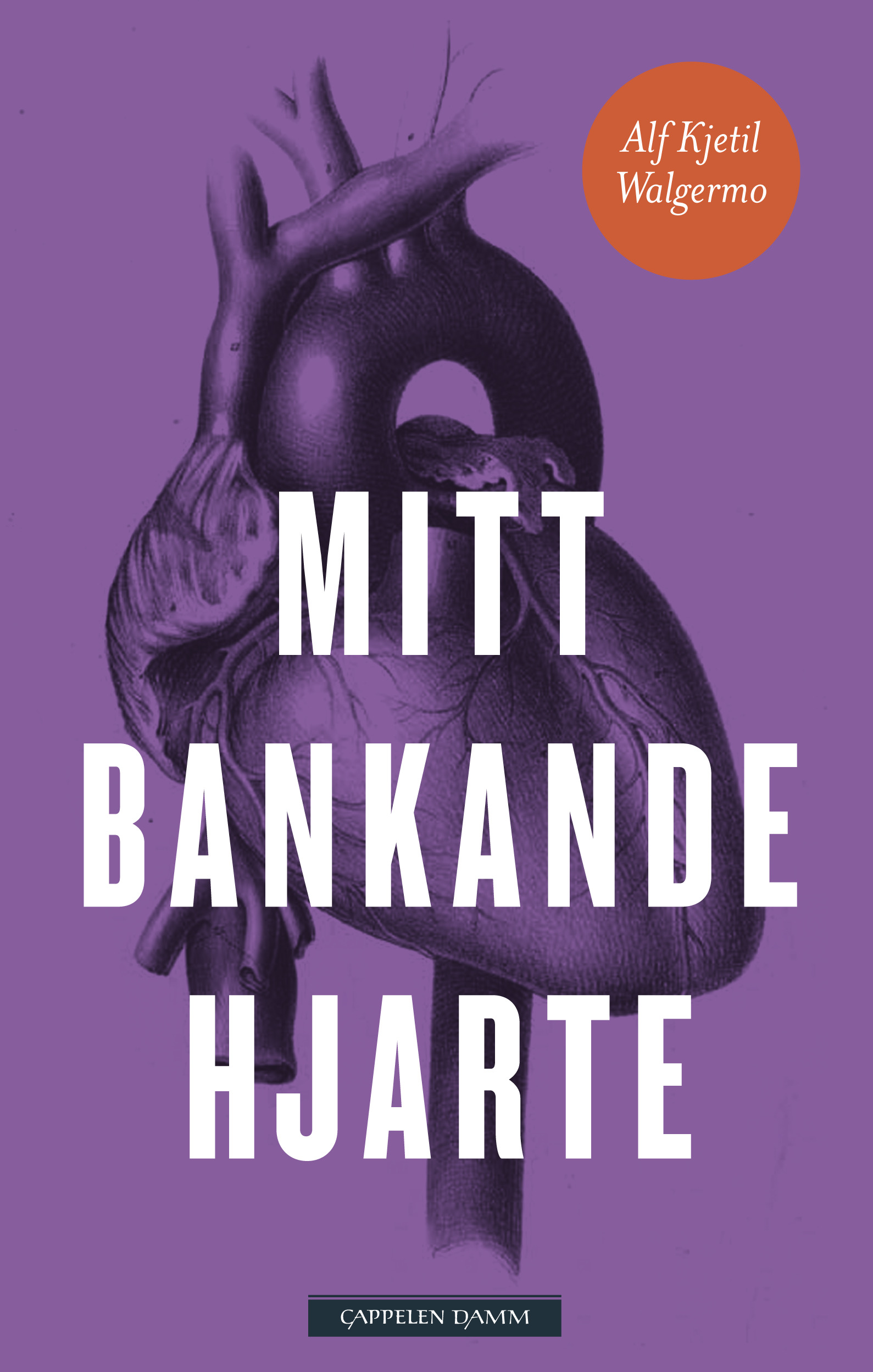 Bok 7 cover